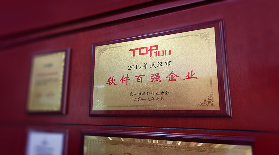 深耕服务汽车行业——大咖娱乐海数字科技荣获2019年武汉市软件百强企业